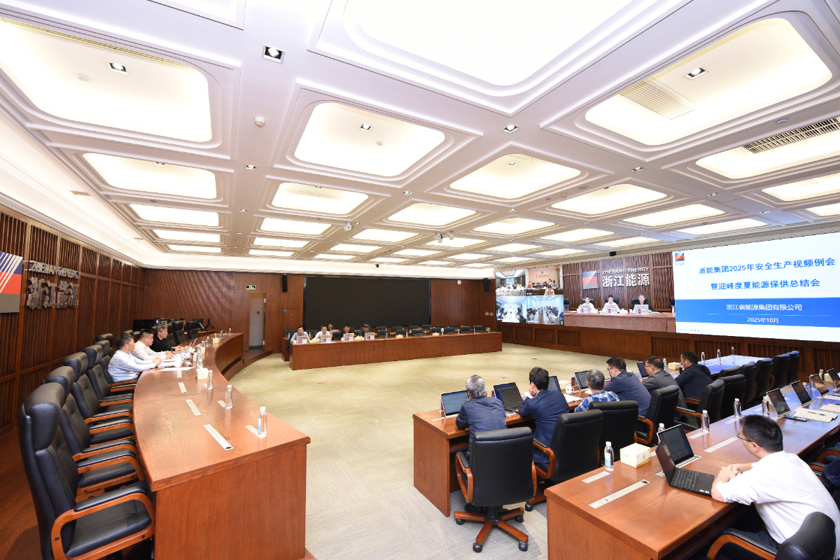 集團召開2025年安全生產視頻例會暨迎峰度夏能源保供總結會